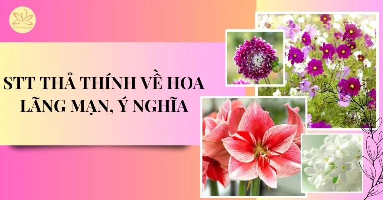 stt thả thính về hoa