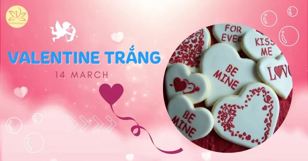 valentine trắng