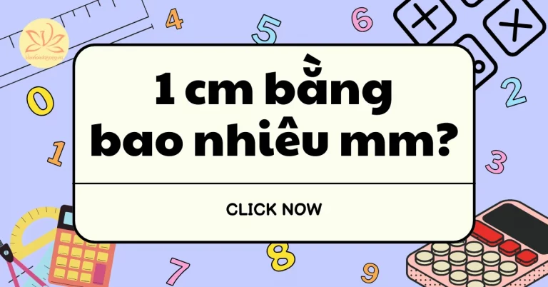1 cm bằng bao nhiêu mm