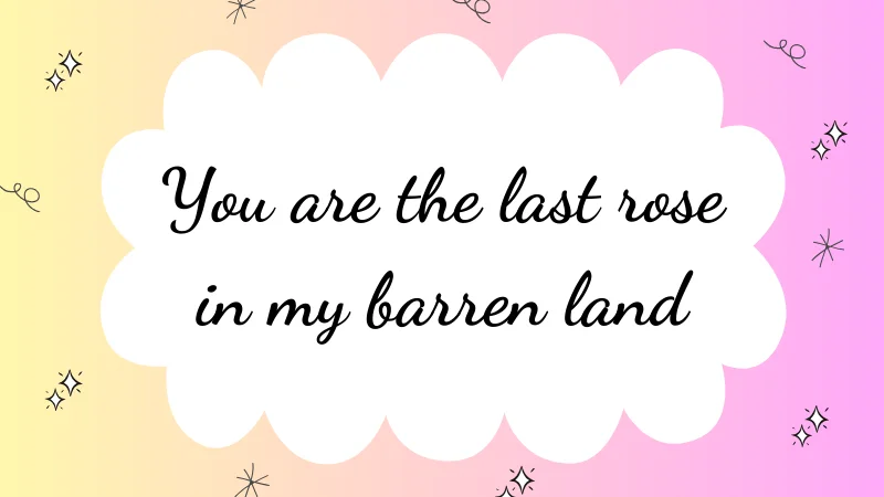 You are the last rose in my barren land.