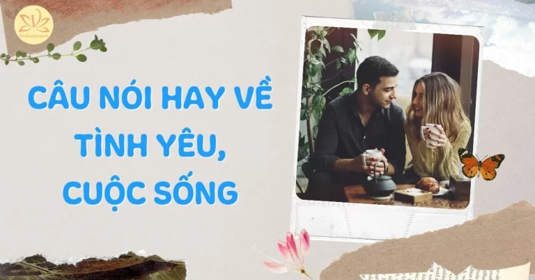 câu nói hay về tình yêu cuộc sống