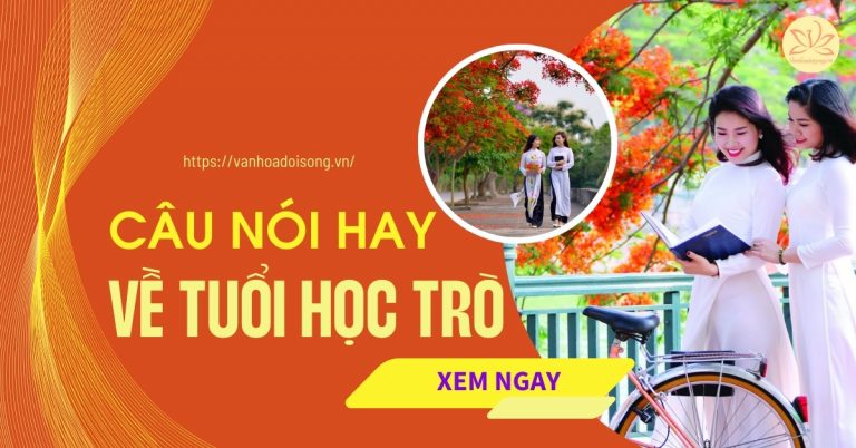Câu nói hay về tuổi học trò nhiều kỷ niệm xúc động, ý nghĩa nhất