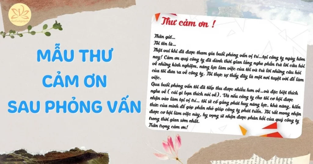 mẫu thư cảm ơn sau phỏng vấn
