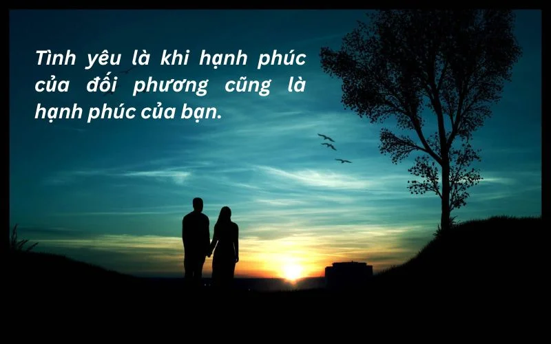 Tình yêu là khi hạnh phúc của đối phương cũng là hạnh phúc của bạn.