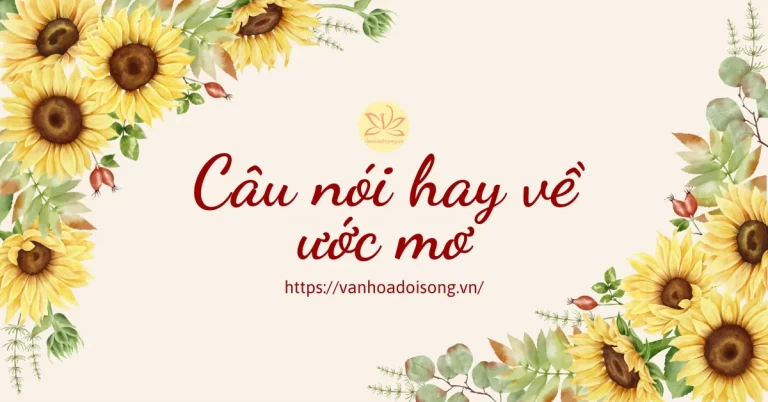 những câu nói hay về ước mơ