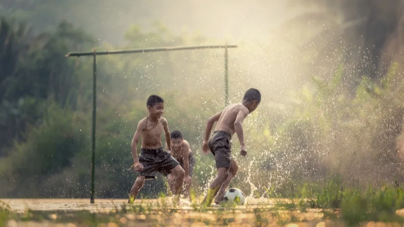 Vai trò và ý nghĩa của tục ngữ trong câu