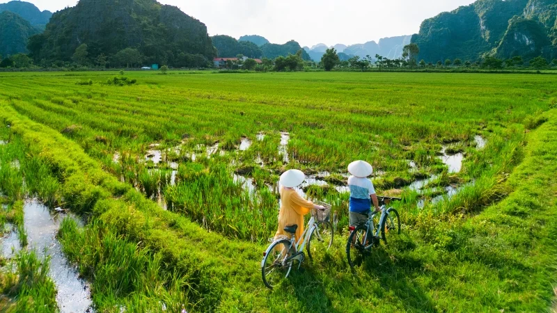 Đặc điểm và cấu tạo của tục ngữ