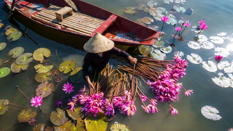 Đặc điểm và cấu tạo của tục ngữ