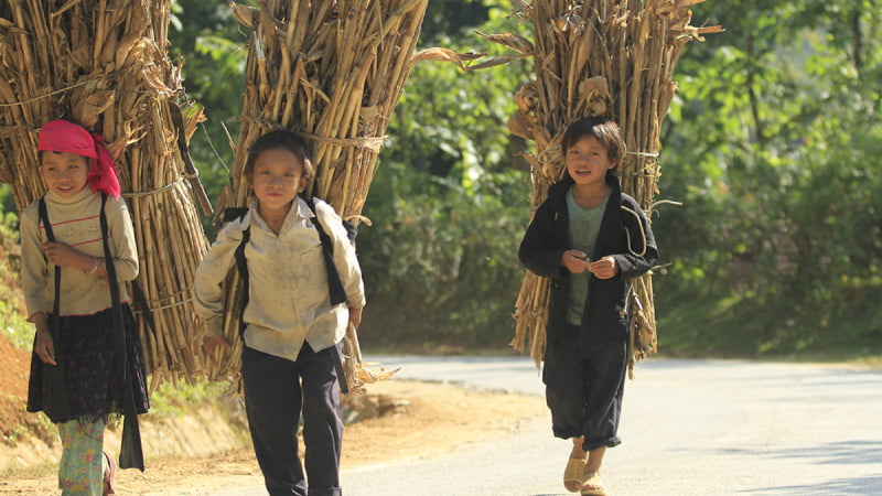 Thành ngữ về lao động sản xuất
