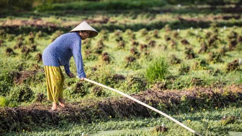 Thành ngữ về thiên nhiên thời tiết