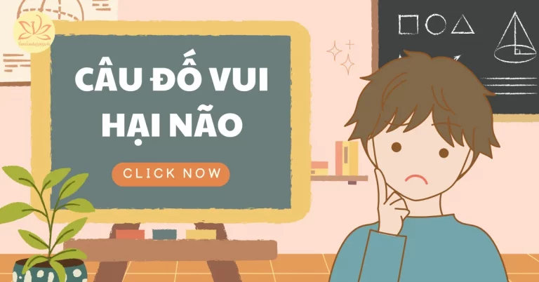 câu đố vui hại não