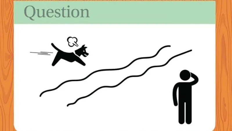 Những câu đố vui trí tuệ có đáp án mới nhất