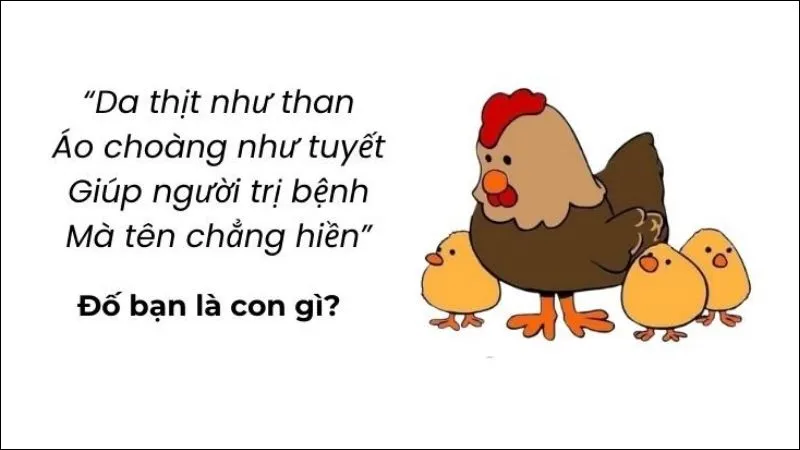 Những câu đố vui trí tuệ có đáp án mới nhất