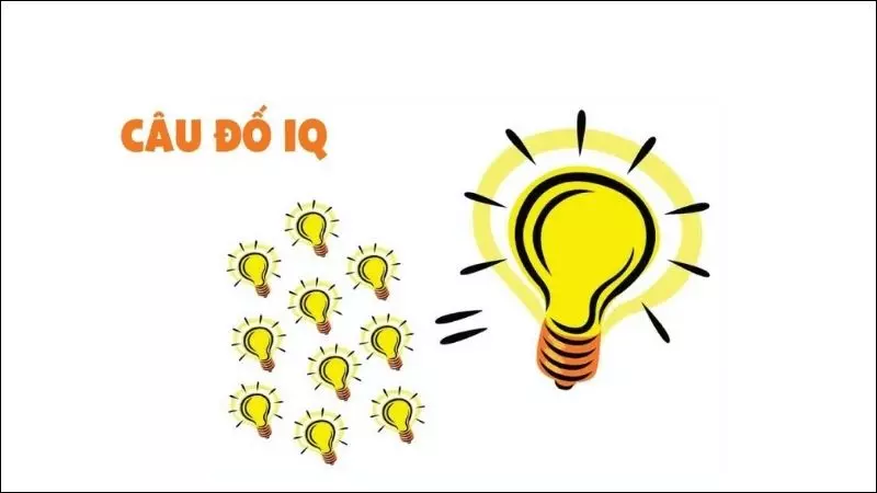 Những câu đố vui trí tuệ có đáp án mới nhất