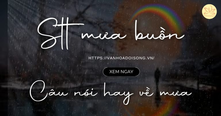Stt mưa buổn, câu nói hay về mưa