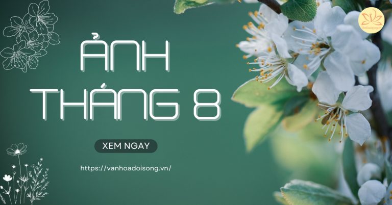 Ảnh tháng 8, hình nền đẹp chào tháng 8 cho máy tính, điện thoại