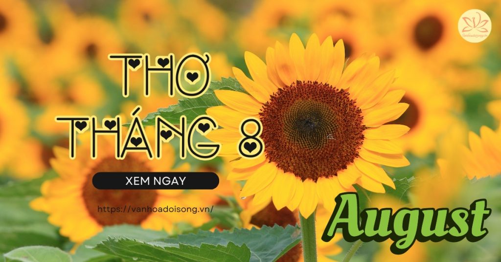 Thơ tháng 8 hay, lãng mạn, thơ chào tháng 8 ý nghĩa nhất