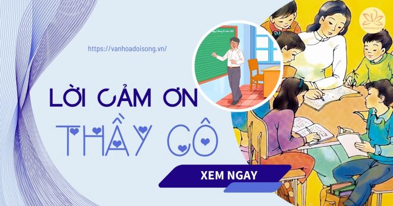 Lời cảm on thầy cô ngắn gọn hay, ý nghĩa và cảm động