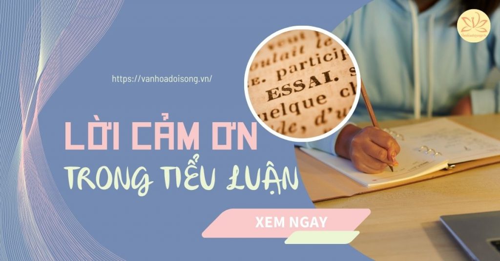 Lời cảm ơn trong tiểu luận chuyên nghiệp, ấn tượng, ý nghĩa