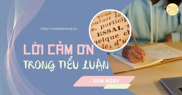 Lời cảm ơn trong tiểu luận chuyên nghiệp, ấn tượng, ý nghĩa