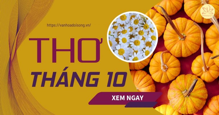 Bài thơ tháng 10 hay, thơ chào tháng 10 lãng mạn, tâm trạng
