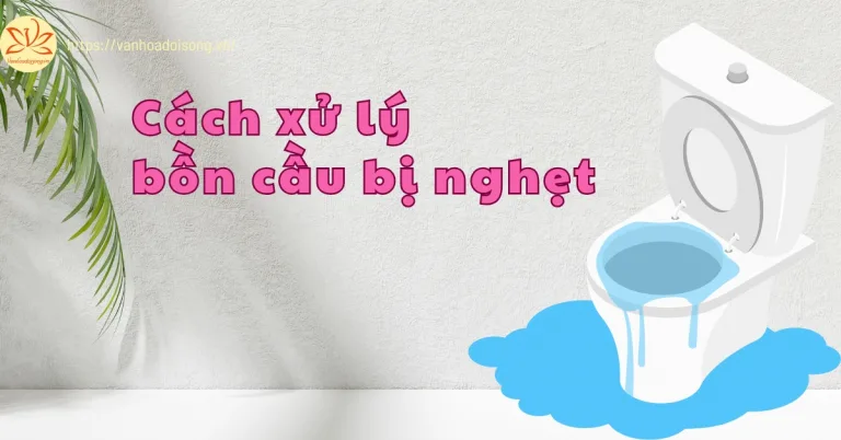 15 cách xử lý bồn cầu bị nghẹt hiệu quả ngay tại nhà