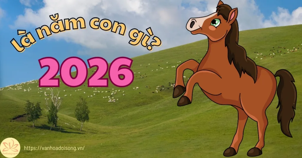 Năm 2026 là năm con gì? Tuổi gì?